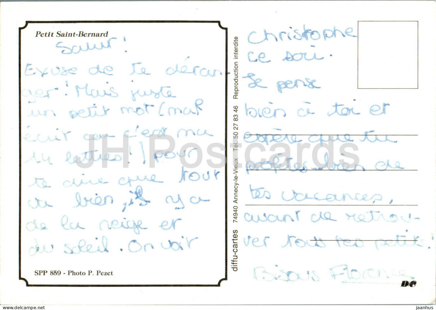 Petit St Bernard - chien - animaux - SPP 859 - France - utilisé