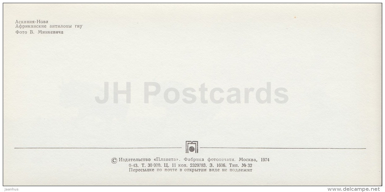 Wildebeest - Antelope Gnu - Askania-Nova Reserve - 1974 - Ukraine USSR - unused - JH Postcards