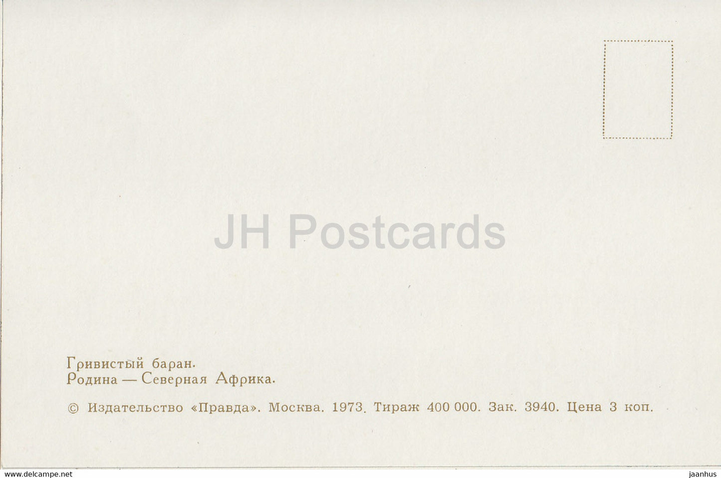 Barbary sheep - Ammotragus lervia - Moscow Zoo - animals - 1973 - Russia USSR - unused