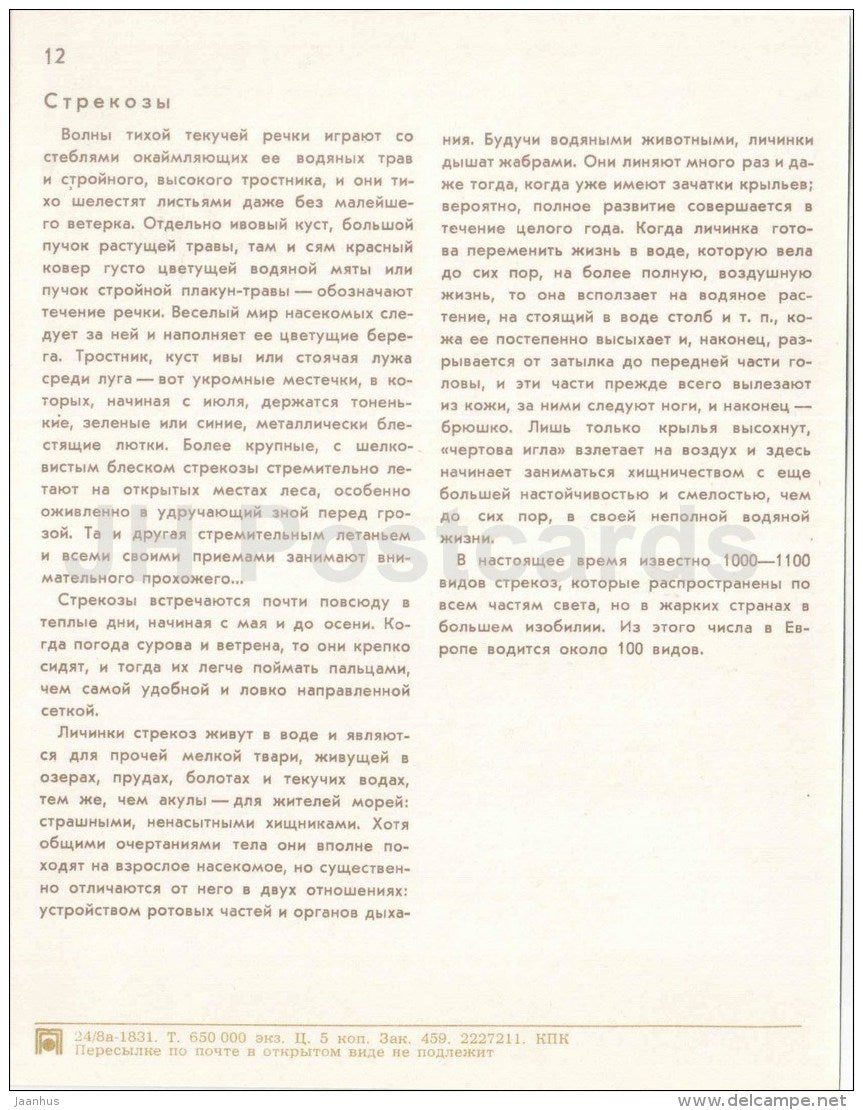 Dragonfly - insect - Nature Encounter - 1973 - Russia USSR - unused - JH Postcards