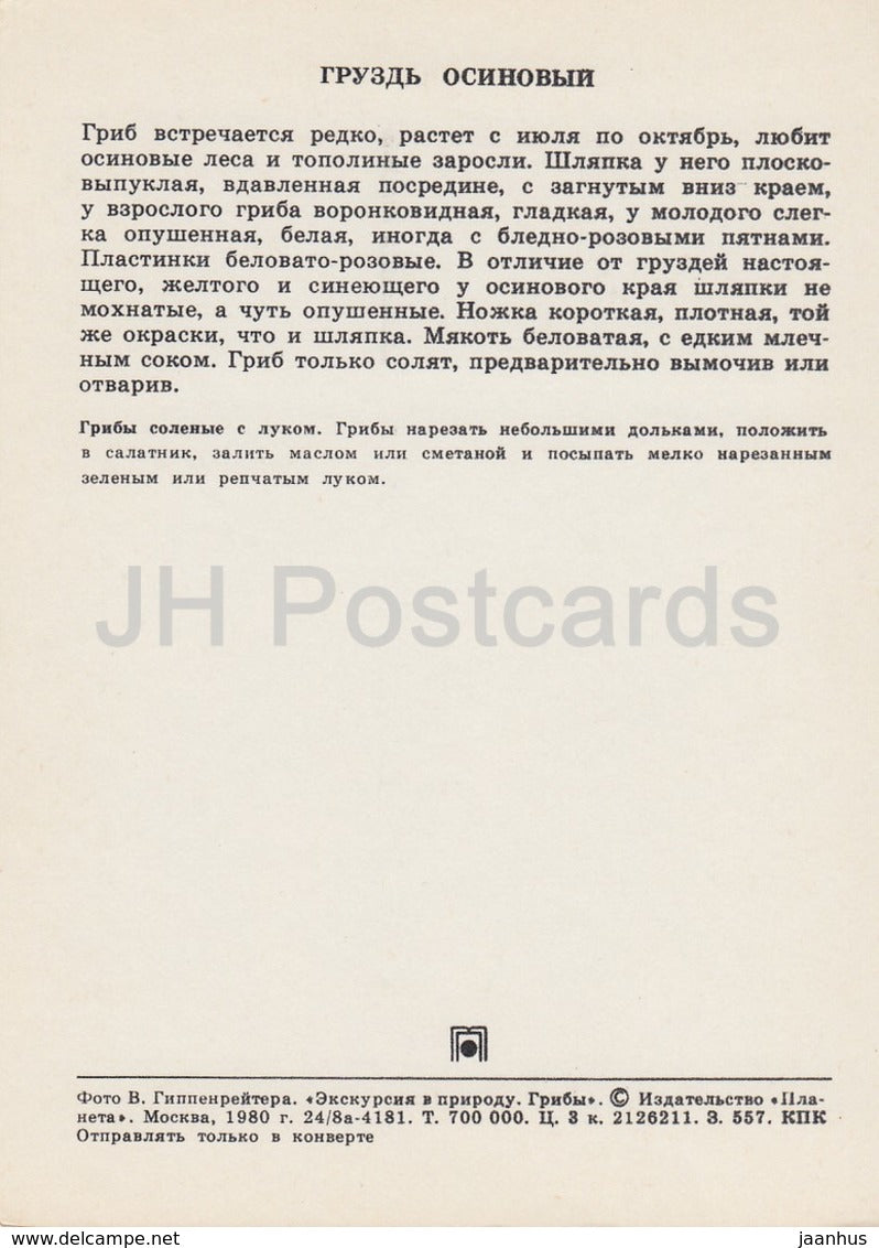 Blushing Milkcap Mushroom - Lactarius controversus - Mushrooms - 1980 - Russia USSR - unused - JH Postcards