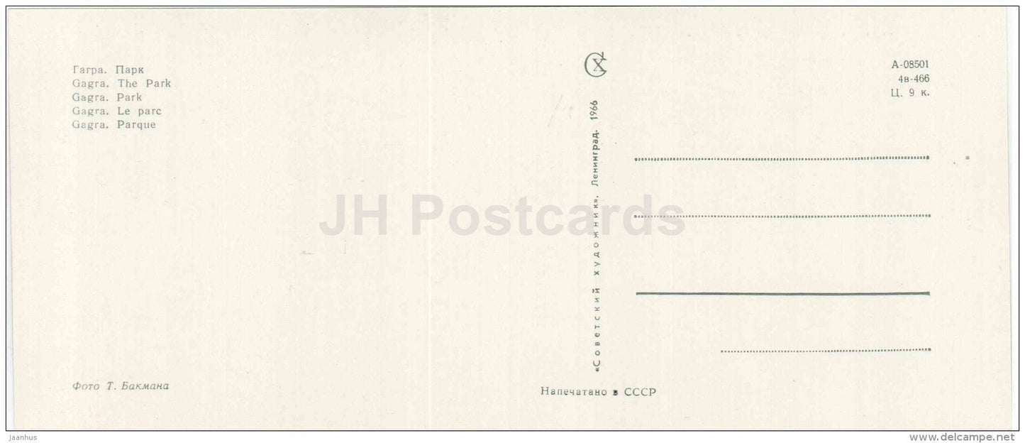 The Park - Gagra - Abkhazia - Caucasus - 1966 - Georgia USSR - unused - JH Postcards