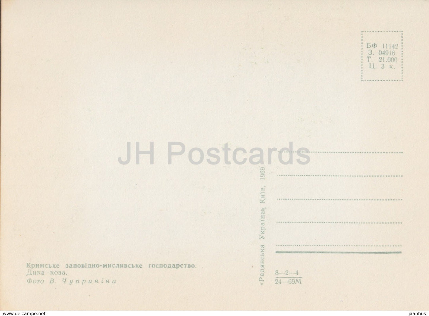 Wild goat - Capra aegagrus - animals - Crimea Nature Reserve - 1969 - Ukraine USSR - unused