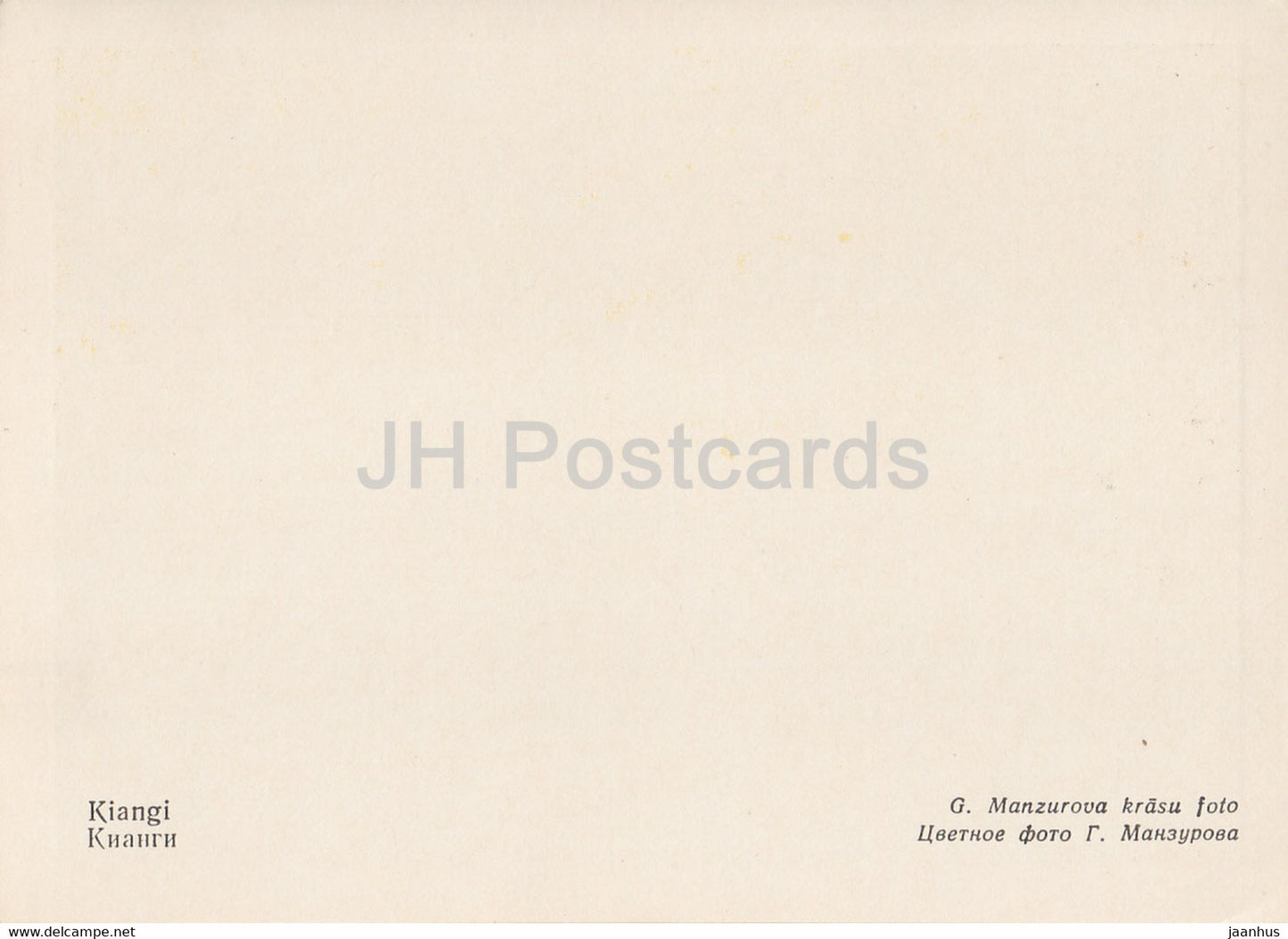 Riga Zoo - Kiang - Equus kiang - Latvia USSR - unused