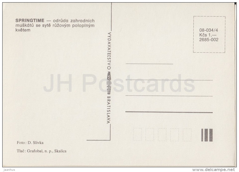 Springtime - flowers - Geranium - 1985 - Czech - Czechoslovakia - unused - JH Postcards