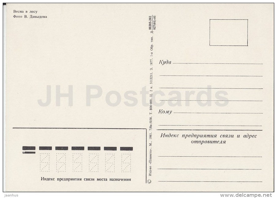 spring in the forest - 1981 - Russia USSR - unused - JH Postcards