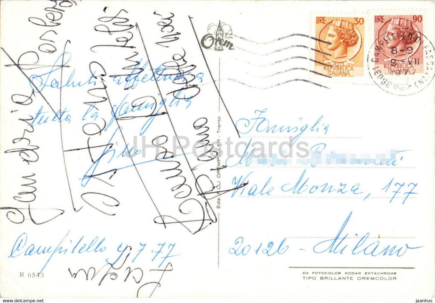 Saluti da Campitello di Fassa 1442 m - Edelweiss - flower - 1977 - Italy - used