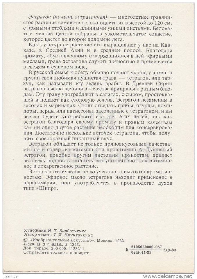 Estragon - Spice Plants - 1983 - Russia USSR - unused - JH Postcards