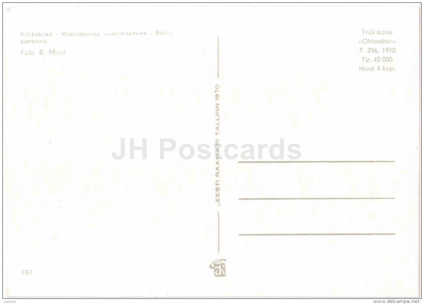 Bellis - flowers - 1970 - Estonia USSR - unused - JH Postcards