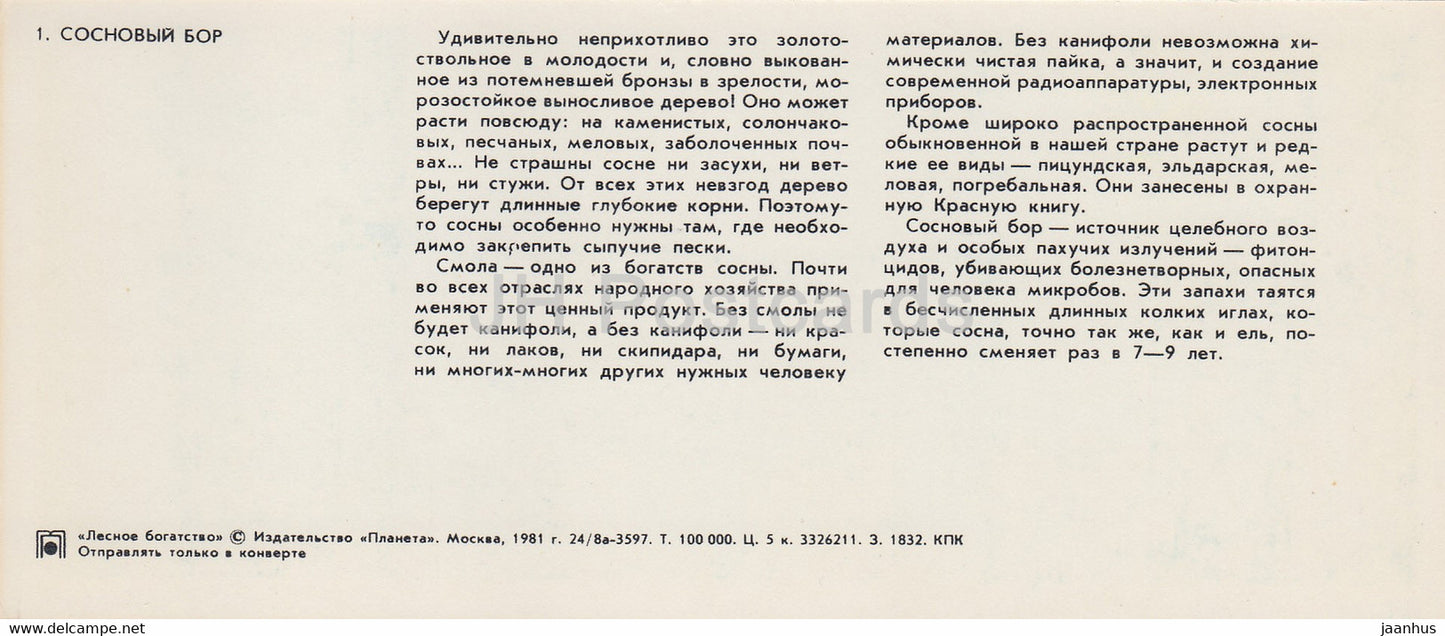 Pinery – Forest Wealth – 1981 – Russland UdSSR – unbenutzt