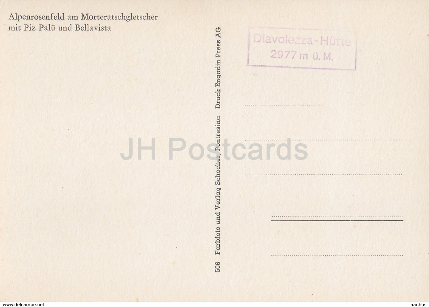 Alpenrosenfeld am Morteratschgletscher mit Piz Palu und Bellavista - Schweiz - unbenutzt