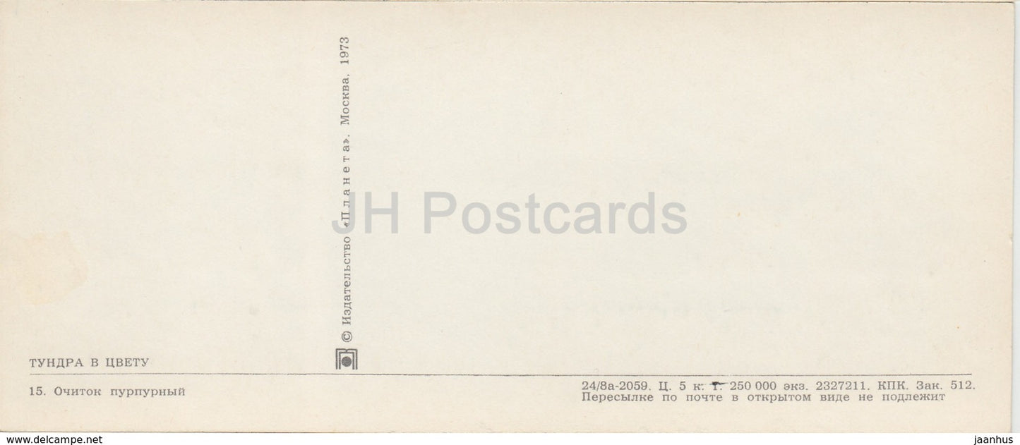 Fetthenne lila - Pflanzen - Rentier - Tundra in Blüte - 1973 - Russland UdSSR - unbenutzt