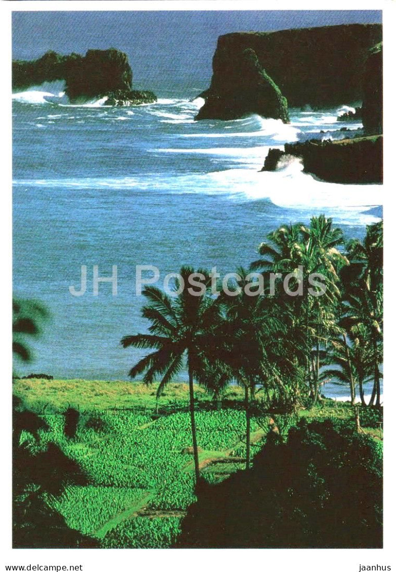 The beauty of Hawaii - tropical coast - palm trees - 1989 - USA - used - JH Postcards