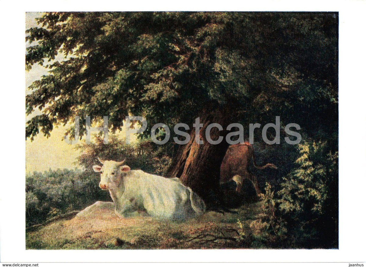 painting by Mikhail Lebedev - Landscape with Cows - cow - animals - Russian art - 1963 - Russia USSR - unused - JH Postcards