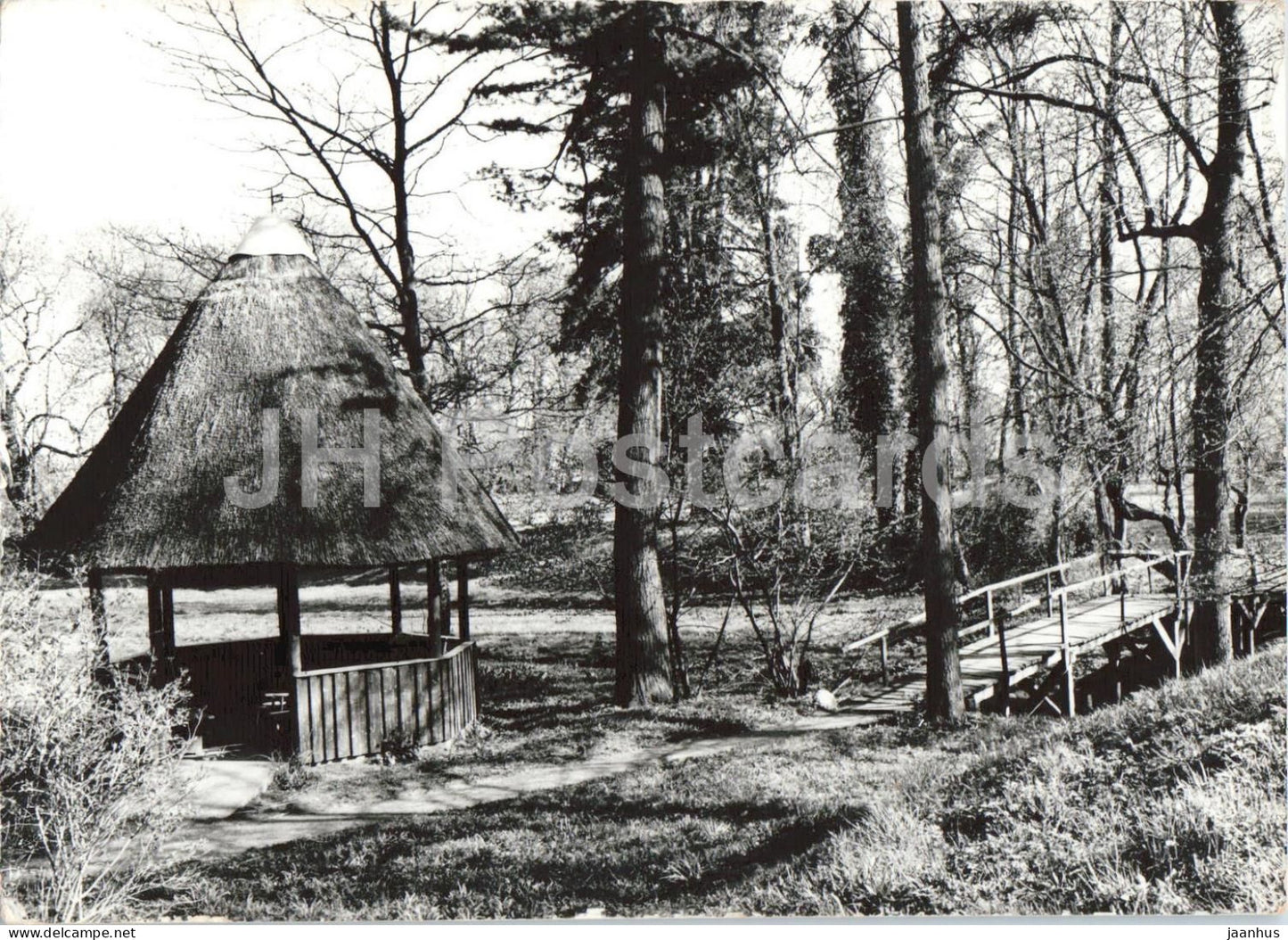Grimmen park - pavilion wooden bridge trees - 1981 - Germany DDR - used - JH Postcards
