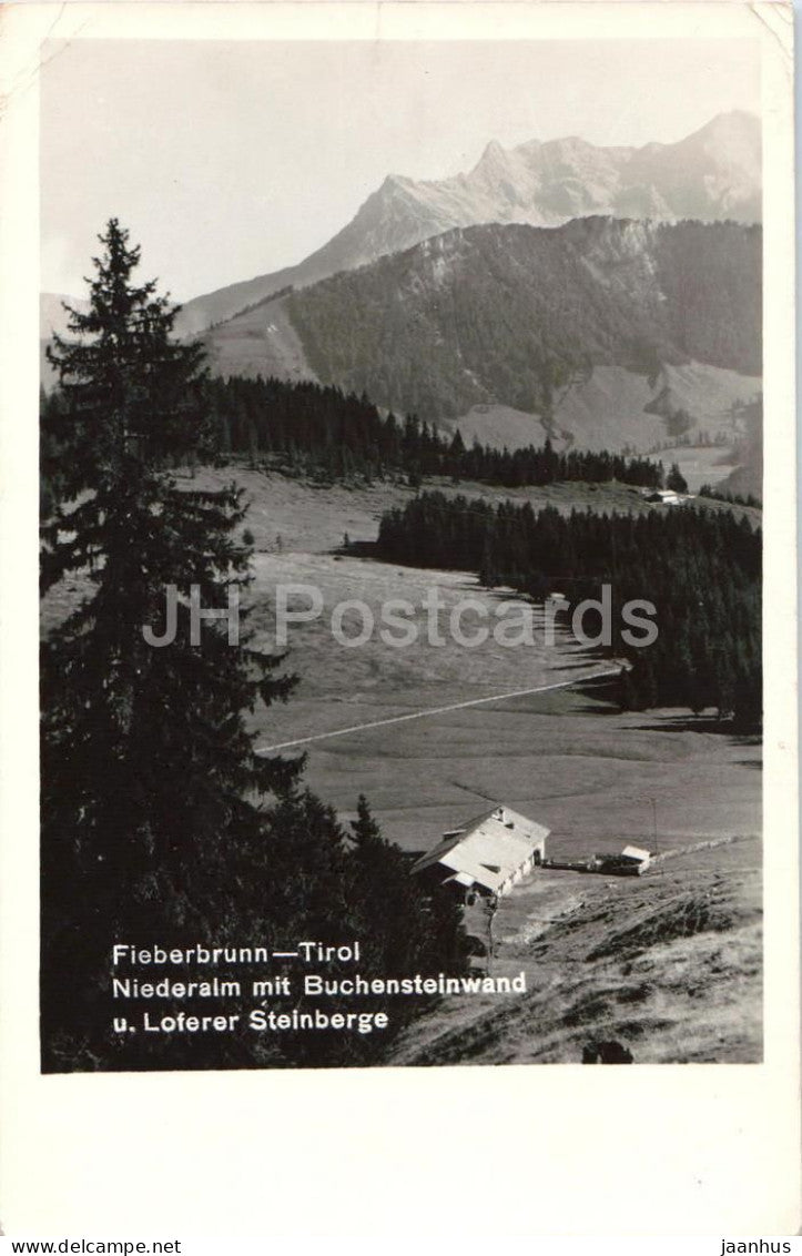 Fieberbrunn - Tirol - Niederalm mit Buchensteinwand u. Loferer Steinberge - old postcard - 1955 - Austria - used - JH Postcards