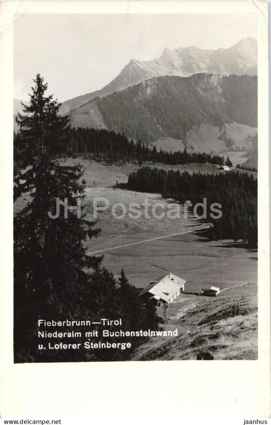 Fieberbrunn - Tirol - Niederalm mit Buchensteinwand u. Loferer Steinberge - old postcard - 1955 - Austria - used - JH Postcards