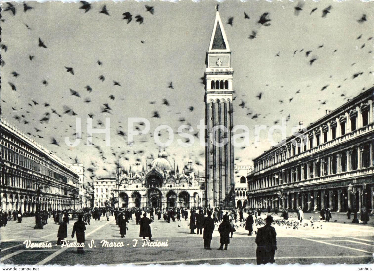 Venezia - Piazza S. Marco - I Piccioni - Venice - St Mark’s Square - the pigeons - 1 - old postcard - Italy - unused - JH Postcards