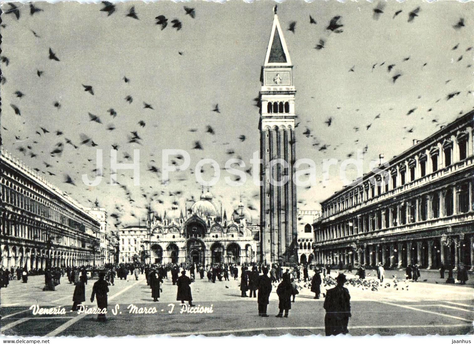 Venezia - Piazza S. Marco - I Piccioni - Venice - St Mark’s Square - the pigeons - 1 - old postcard - Italy - unused - JH Postcards
