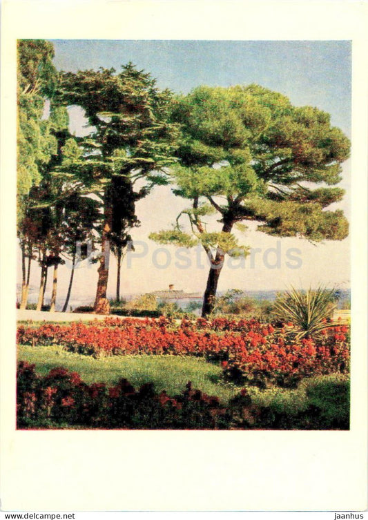 Yalta - In the Seashore Park - Crimea - 1960 - Ukraine USSR - unused - JH Postcards