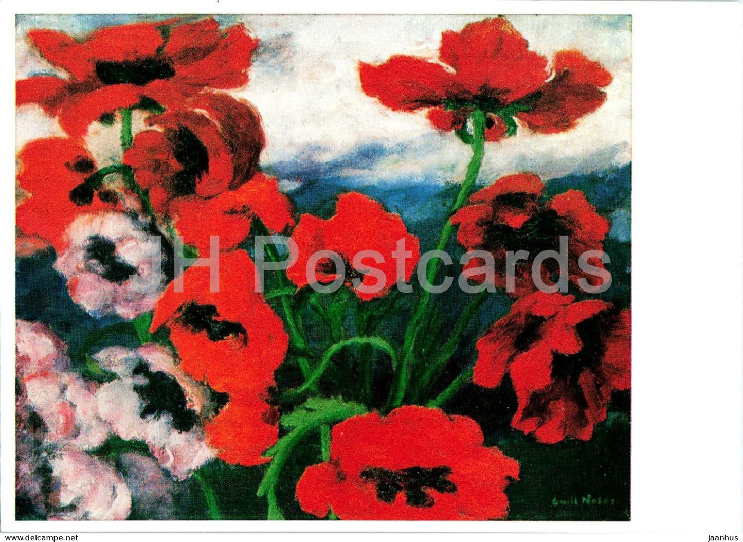 painting by Emil Nolde - Grosser Mohn - Large Poppies - flowers - German art - Germany - unused - JH Postcards