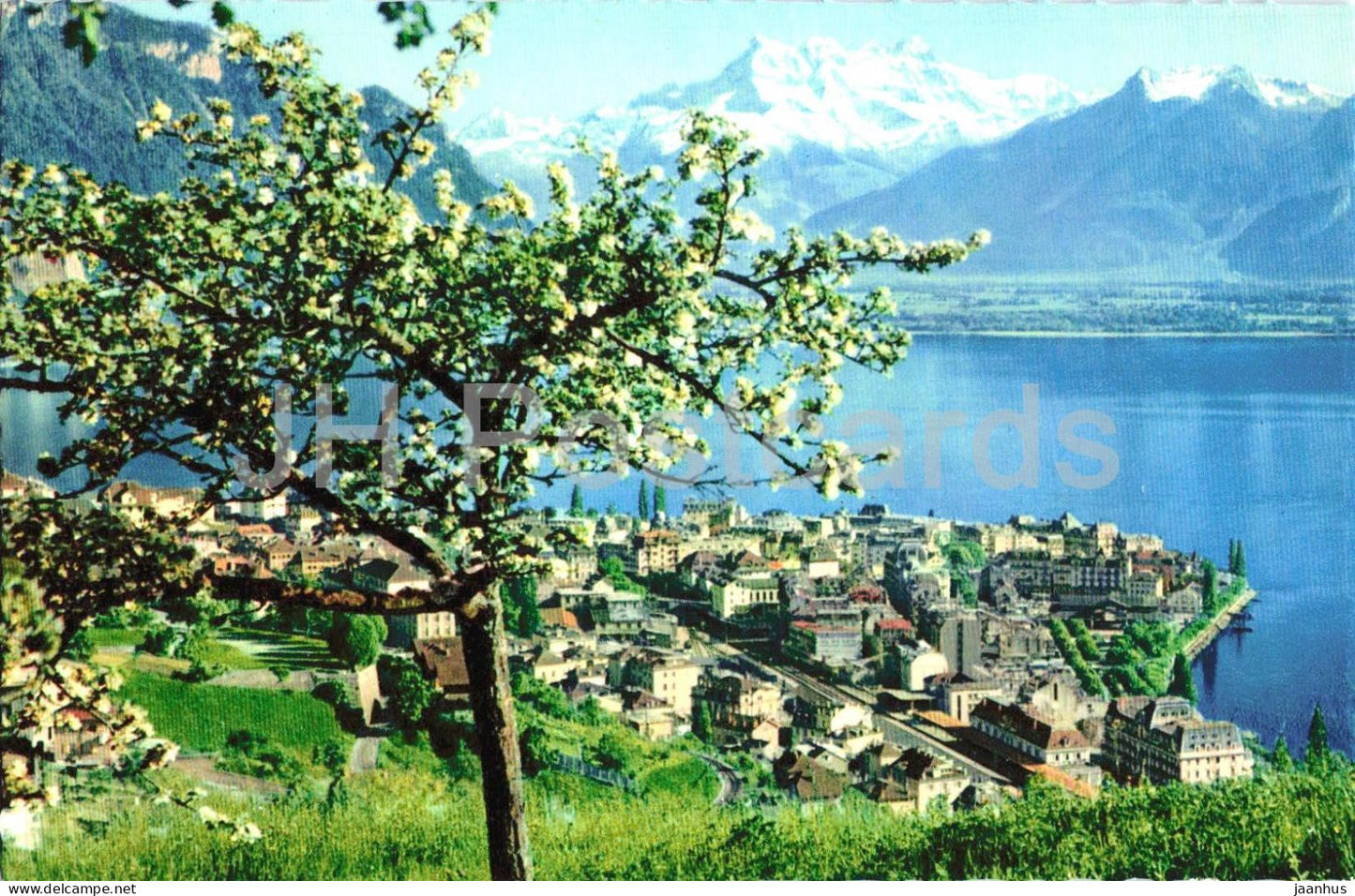 Montreux - Vue generale et les Dents du Midi au printemps - Lake Geneva - 804 - old postcard - Switzerland - unused - JH Postcards