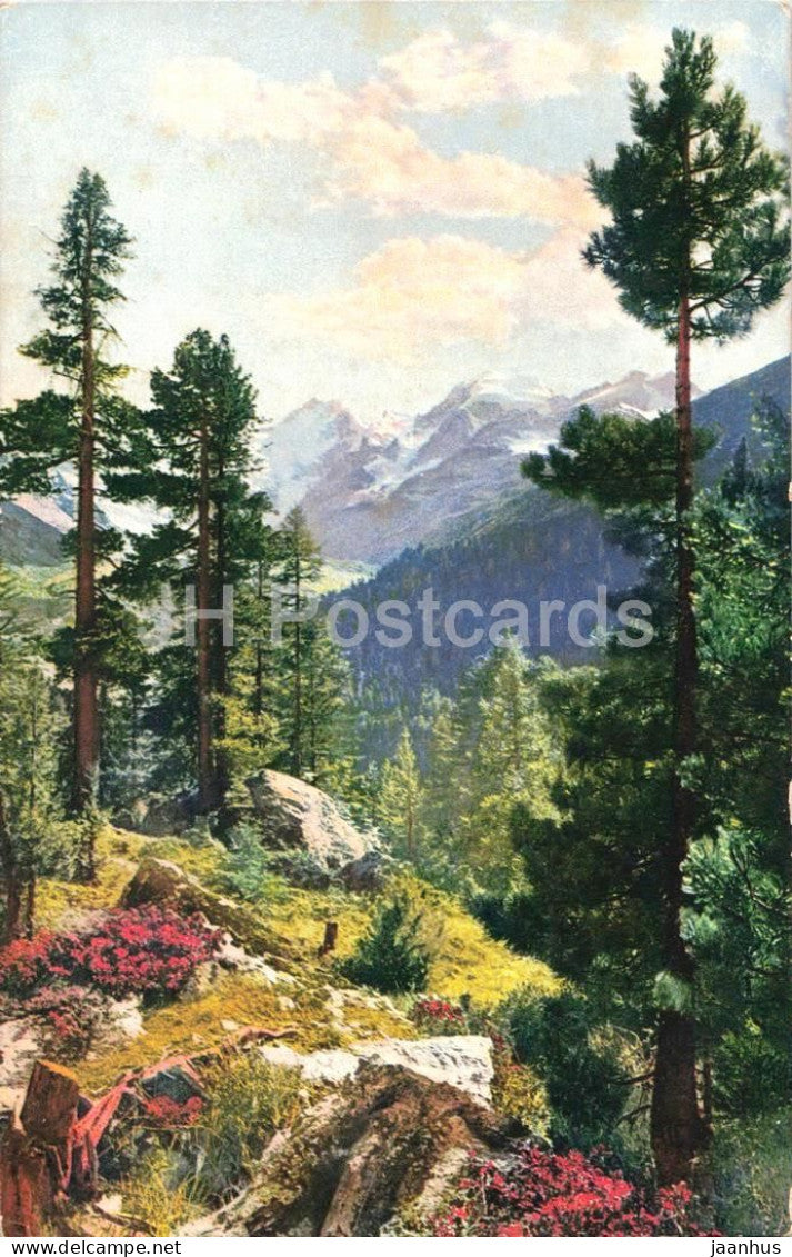 Schweiz - Partie an der Berninabahn - Photochromie - Serie 234 Nr. 3790 - old postcard - 1916 - Switzerland - used - JH Postcards