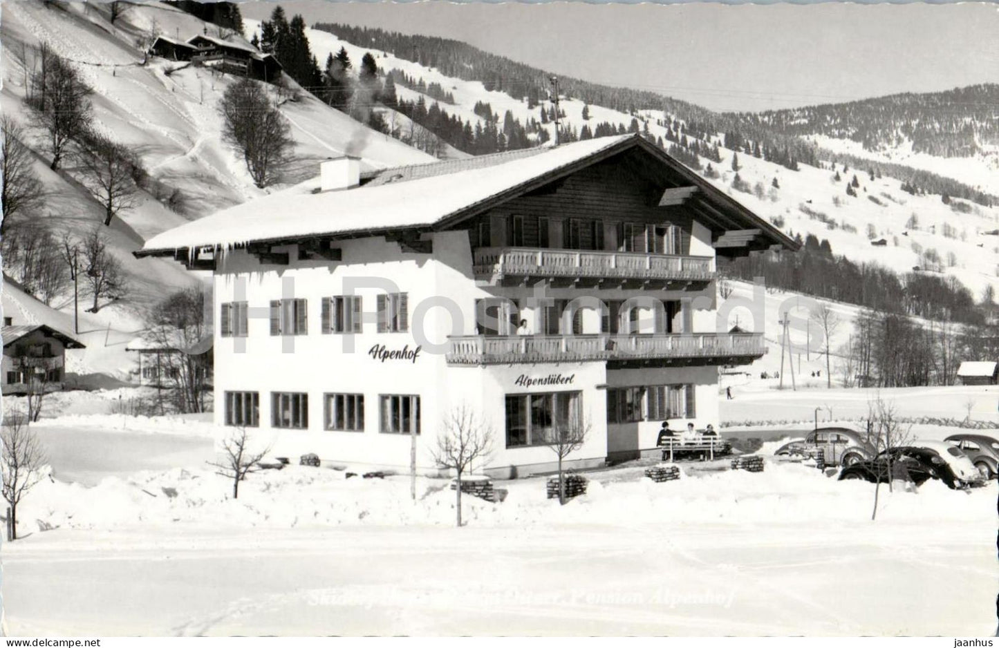 Saalbach - Pension Alpenhof - Alpensuberl - mountains - Alps - Austria - used - JH Postcards