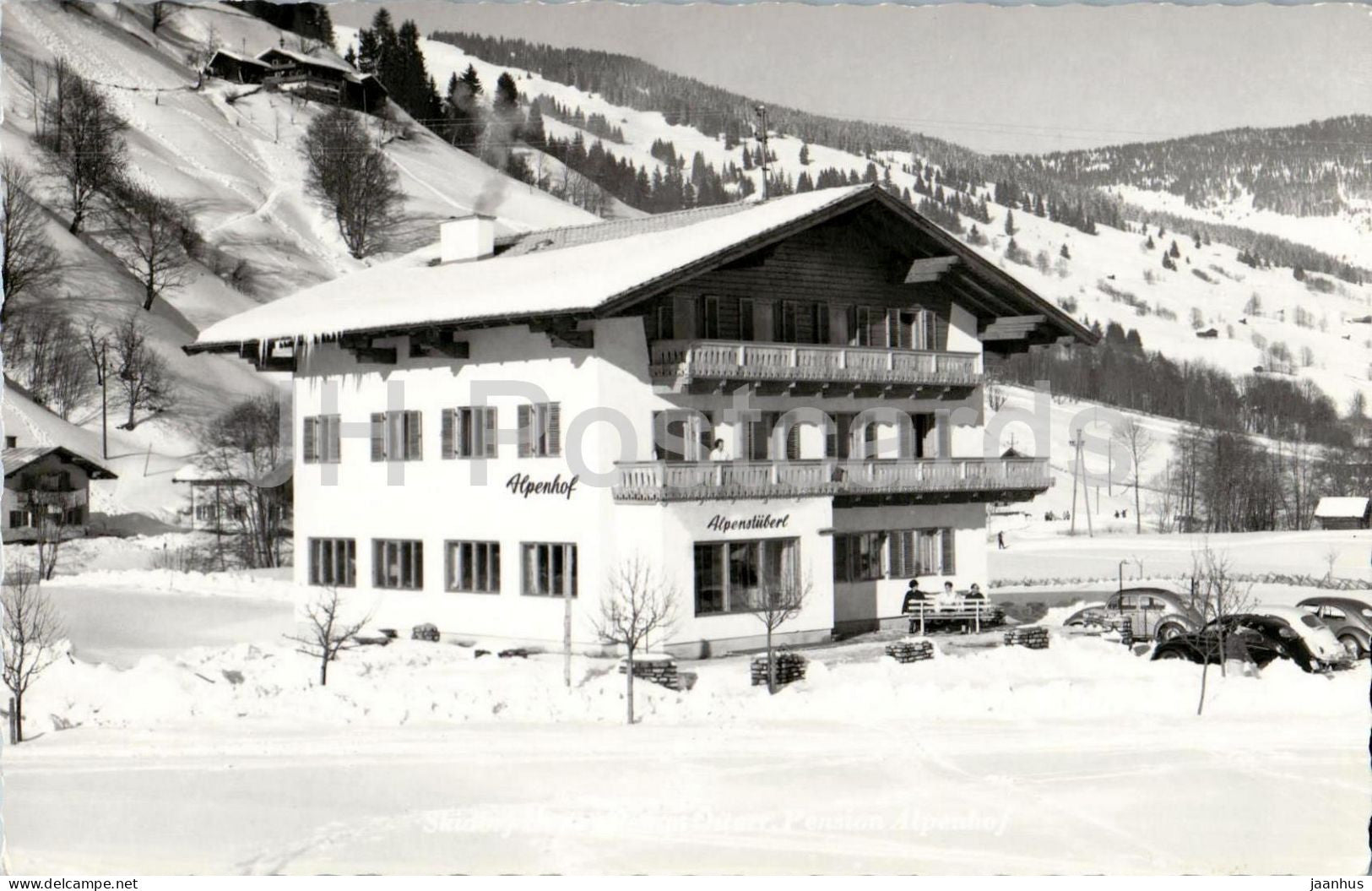Saalbach - Pension Alpenhof - Alpensuberl - mountains - Alps - Austria - used - JH Postcards