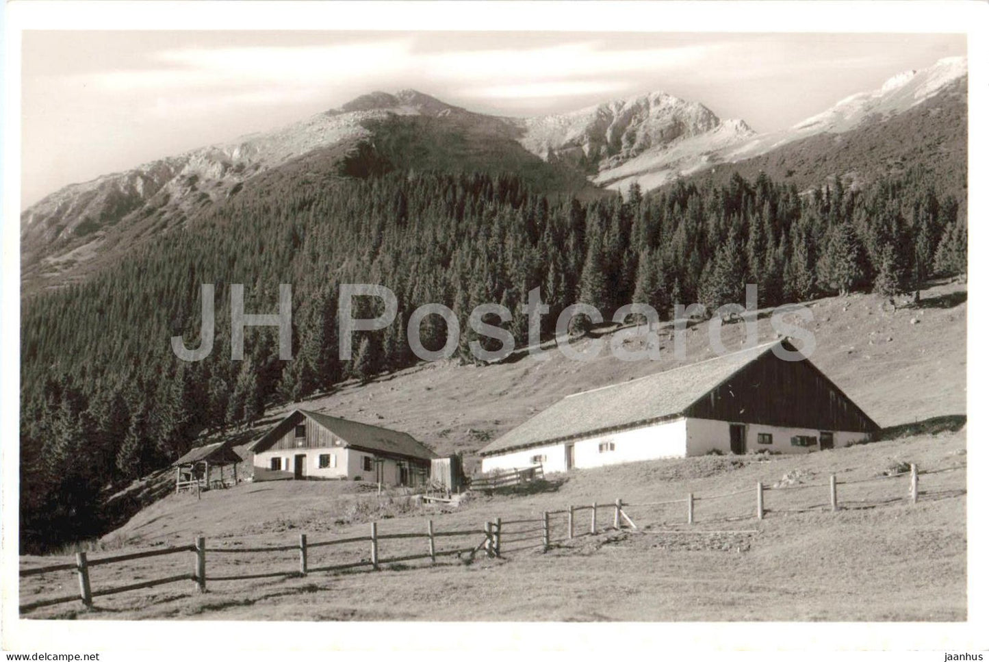 Tirol - Lermooser-Alm mit Daniel 2242 m - mountain - alpine farm - 1071 - old postcard - Austria - unused - JH Postcards