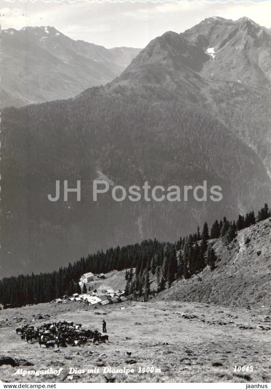 Alpengasthof Dias mit Diasalpe 1900 m - alpine pasture - inn cattle mountains - 10645 - old postcard - Austria - unused - JH Postcards