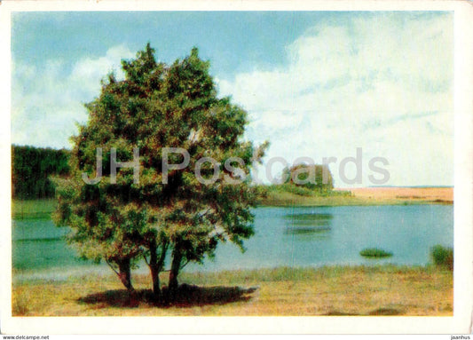 Mikhaylovskoye - Lake Malenets - 1963 - Russia USSR - unused - JH Postcards