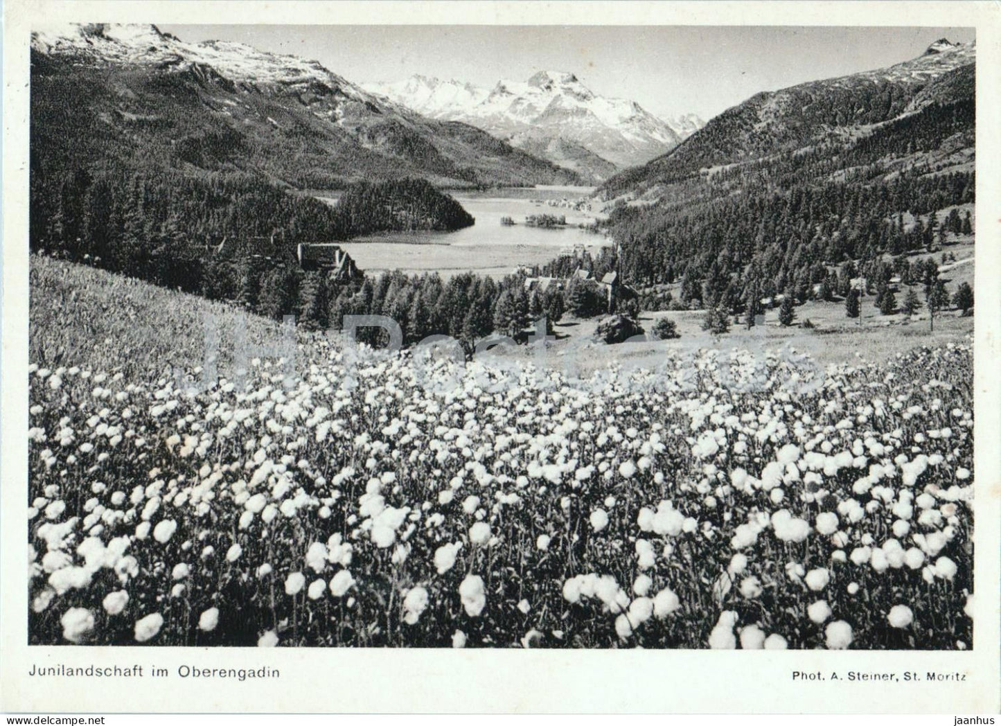 Junilandschaft im Oberengadin - June Landscape in Upper Engadin - 1935 - Switzerland - used - JH Postcards