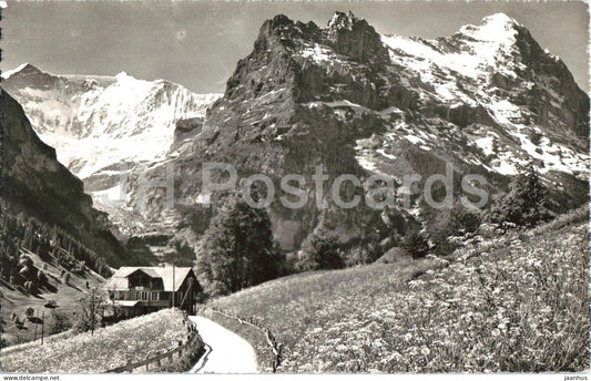 Grindelwald - Fiescherwand mit Eiger - mountains - Alps - meadow - 2153 - old postcard - Switzerland - unused - JH Postcards