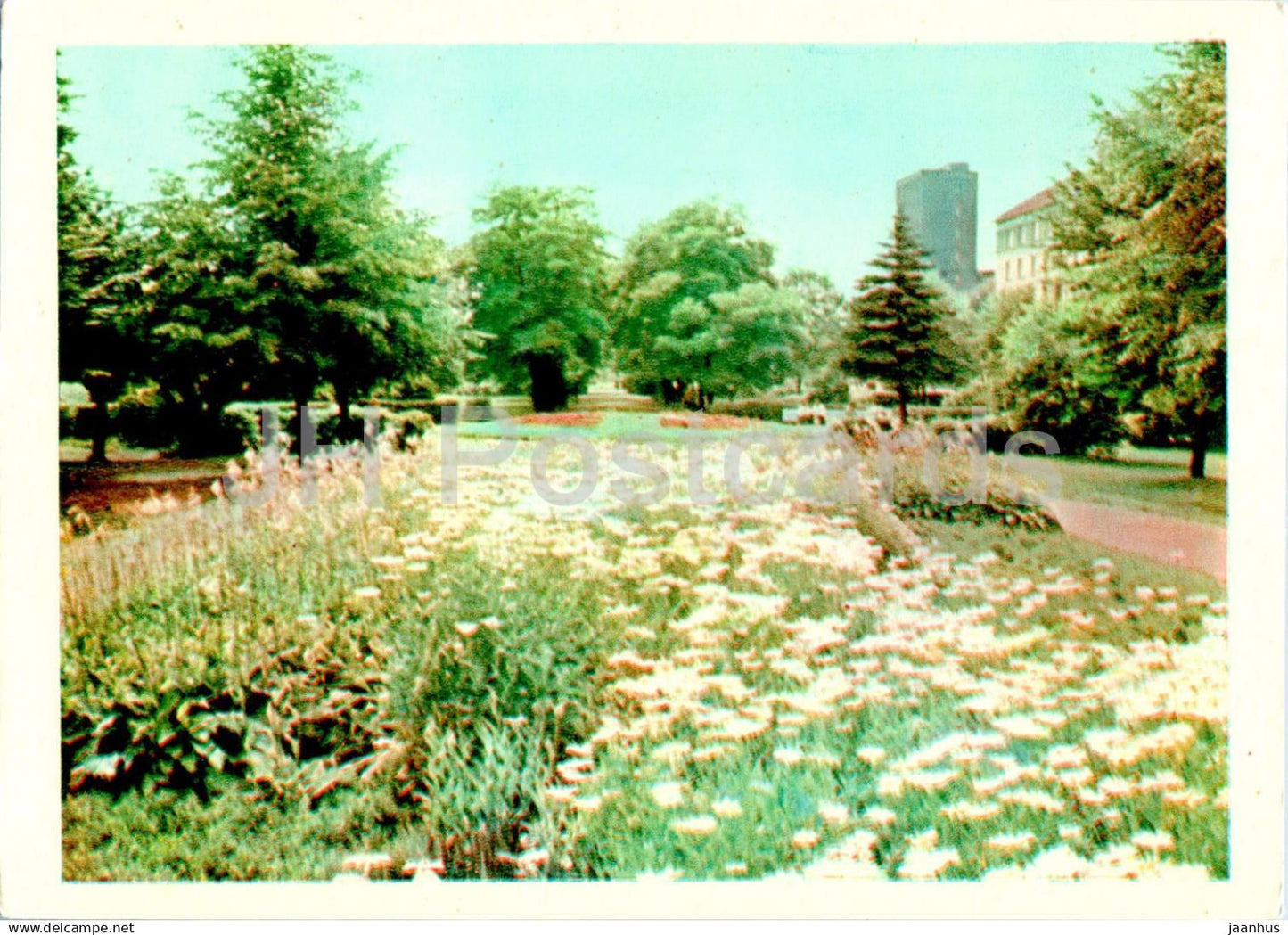 Klaipeda - Public garden in midsummer - 1968 - Lithuania USSR - unused - JH Postcards
