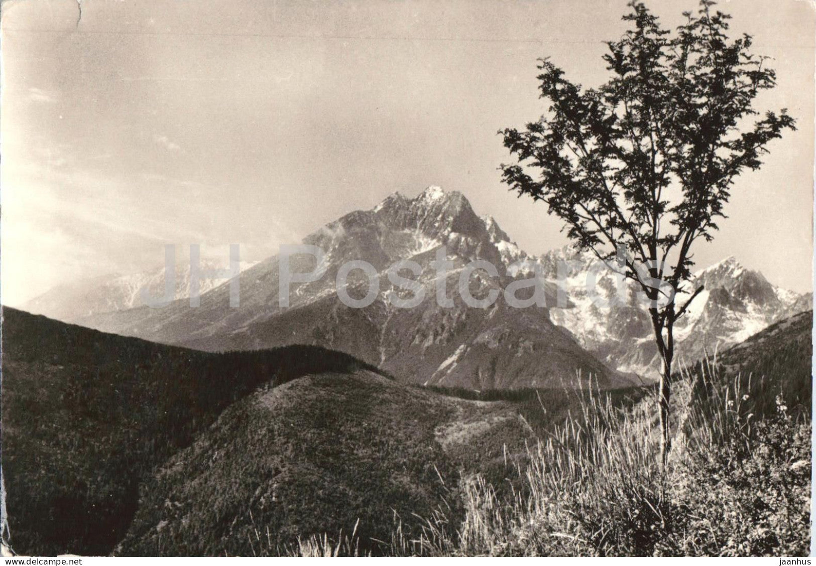 Tatransky Narodny Park - Tatra National Park Lomnicky stit old postcard - Slovakia - Czechoslovakia - used - JH Postcards