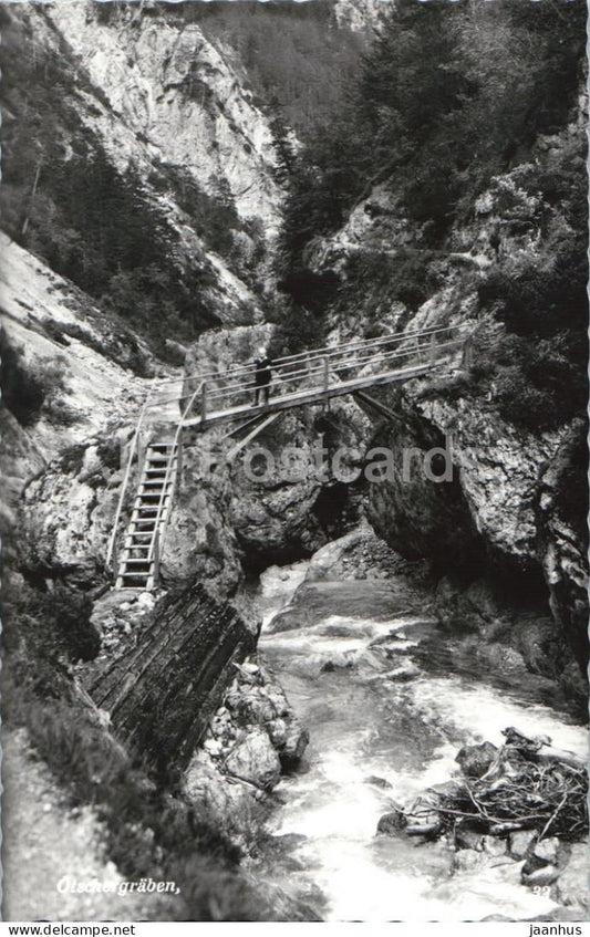 Otschergraben - gorge - bridge - river - alpine nature - Jausenstation zum Otscherhias - old postcard - Austria - unused - JH Postcards