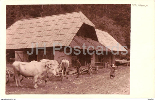 Waldbach - Bauernhof mit Ochsenkarren - farmhouse - ox cart - animals - photo - old postcard - Austria - unused - JH Postcards
