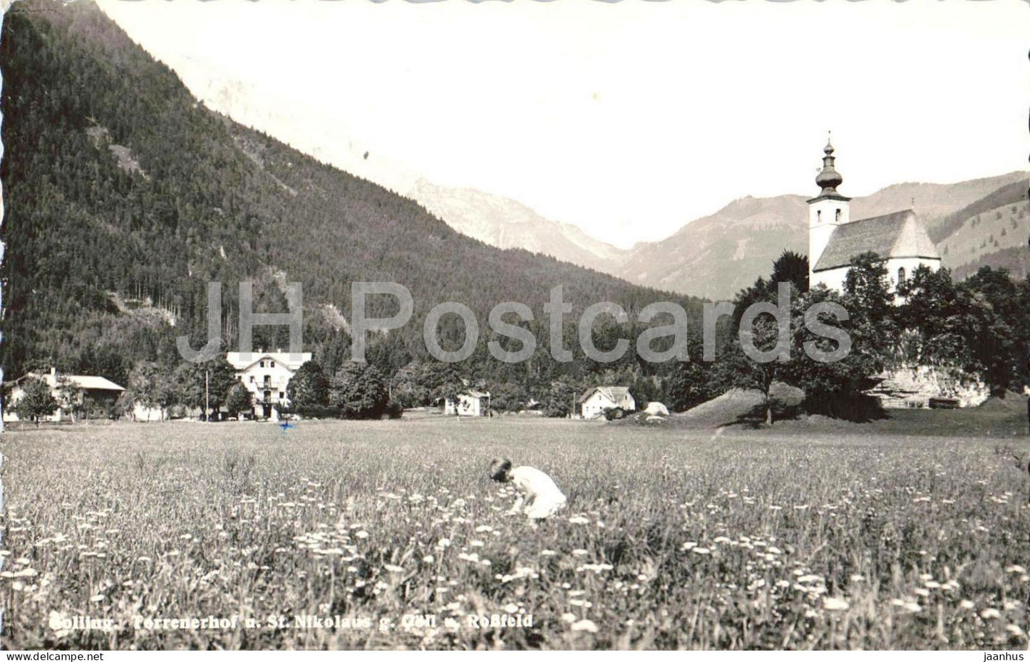 Golling Torrenerhof b. St. Nikolaus g. Goll - Rossfeld - mountains - Alps - 1961 - Austria - used - JH Postcards