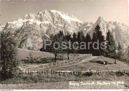 Leogang - Priestereck - Birnhorn - alpine meadow - mountains - rural landscape - old postcard - Austria - unused - JH Postcards