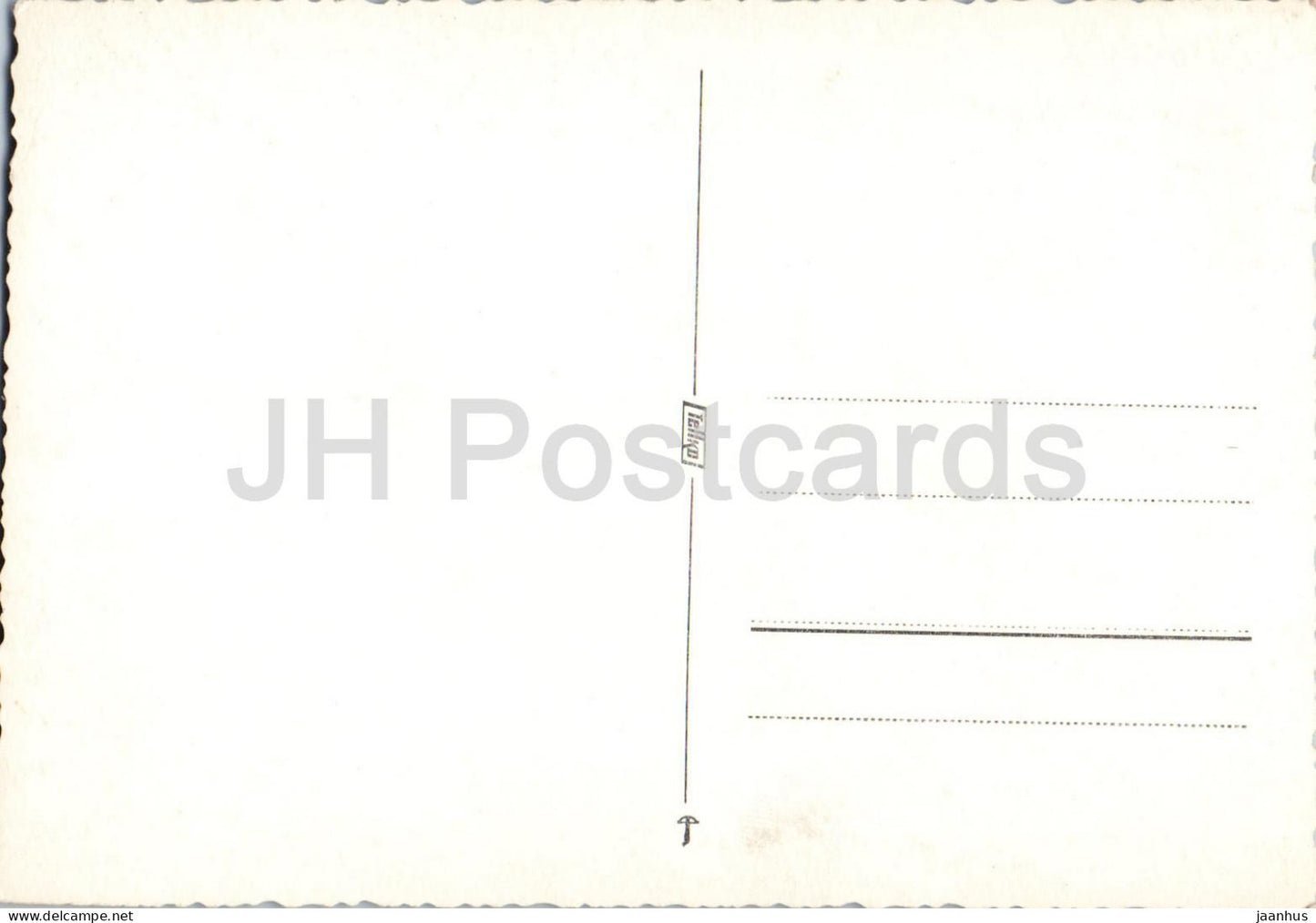 Leogang - Priestereck - Birnhorn - Almwiese - Berge - ländliche Landschaft - alte Postkarte - Österreich - unbenutzt