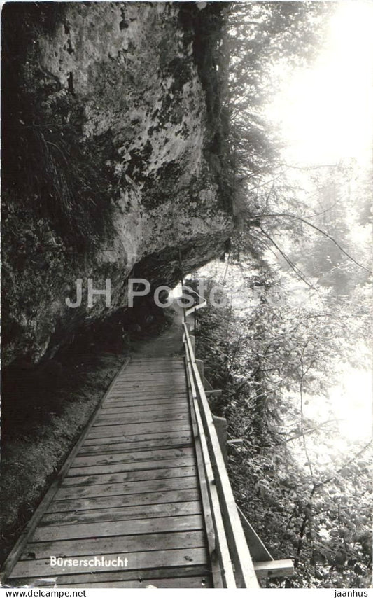 Burserschlucht - gorge - wooden path - rocks - nature - 82936 - old postcard - 1959 - Austria - used - JH Postcards