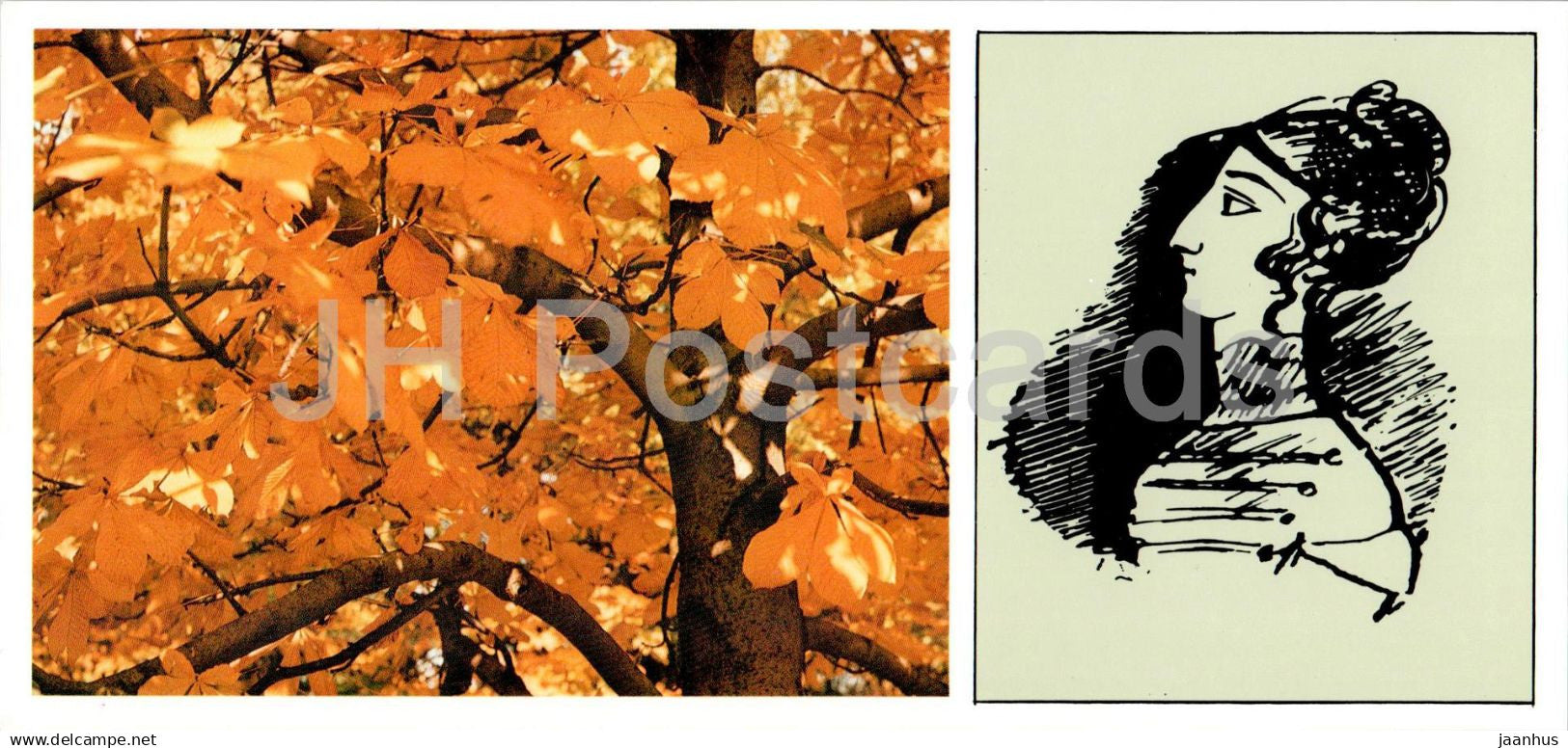 Pushkin Places - Chisinau - Pushkin park - Autumn - Calypso Polychroni - illustration - 1981 - Moldova USSR - unused - JH Postcards