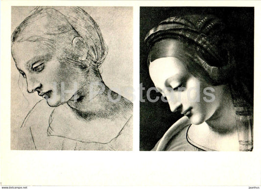 painting by Leonardo da Vinci - sketch - Madonna Litta - Italian art - 1967 - Russia USSR - unused - JH Postcards