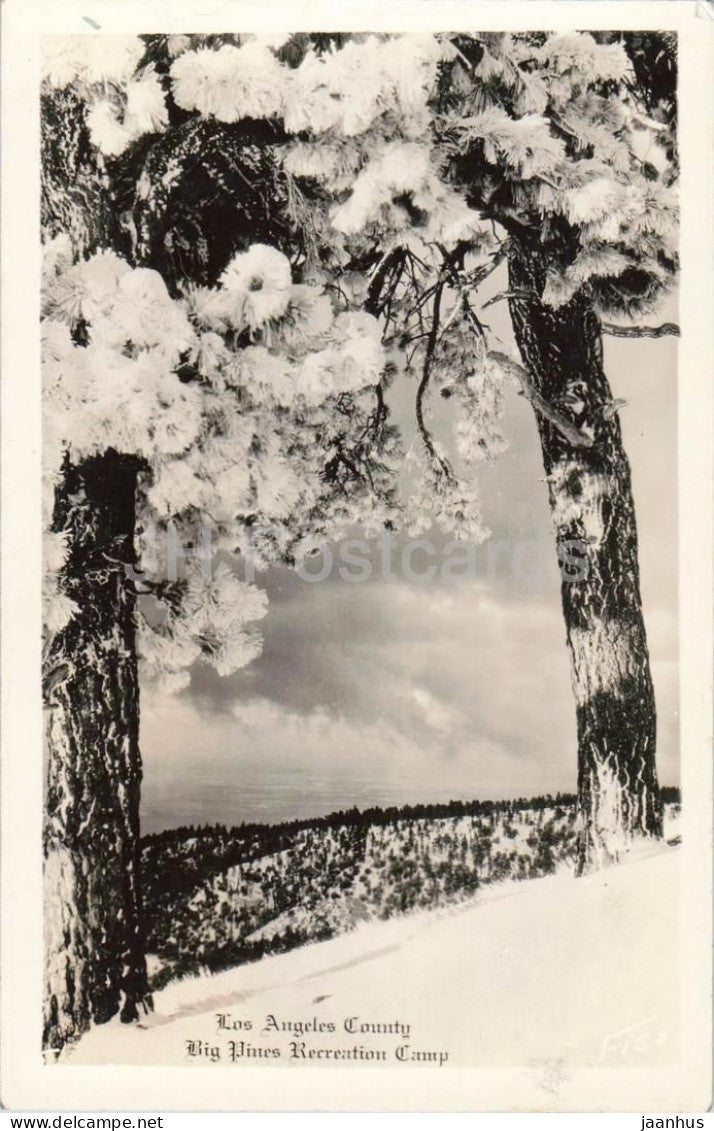 Los Angeles County - Big Pines Recreation Camp - snowy forest - mountain view - old postcard - 1933 - USA - used - JH Postcards