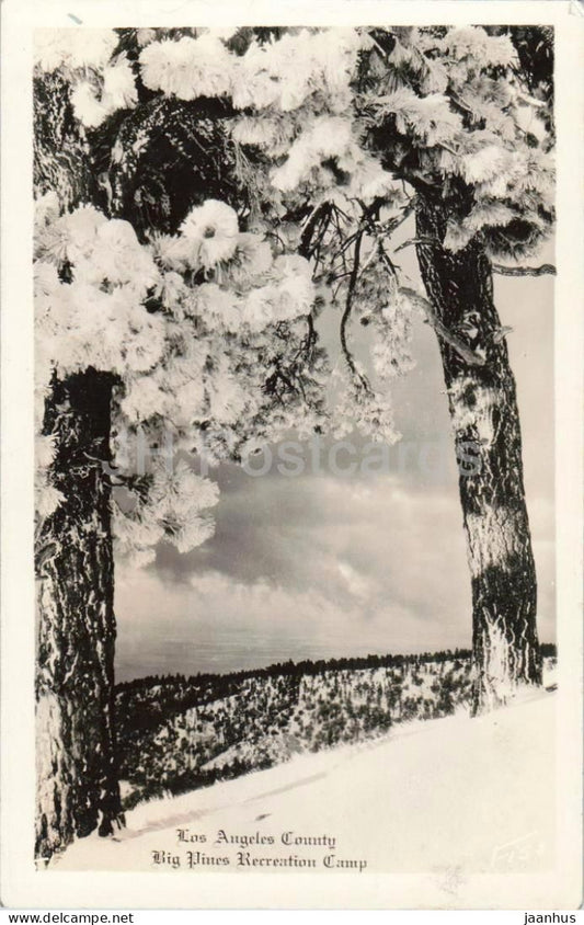Los Angeles County - Big Pines Recreation Camp - snowy forest - mountain view - old postcard - 1933 - USA - used - JH Postcards