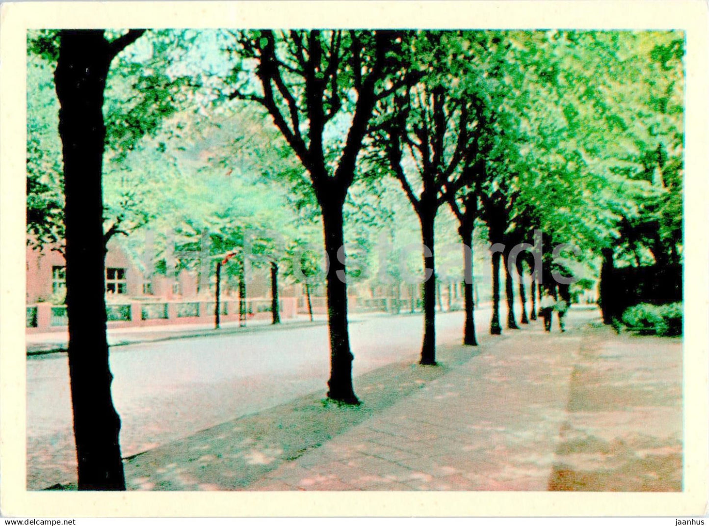 Klaipeda - Salomeja Neris street - 1968 - Lithuania USSR - unused - JH Postcards