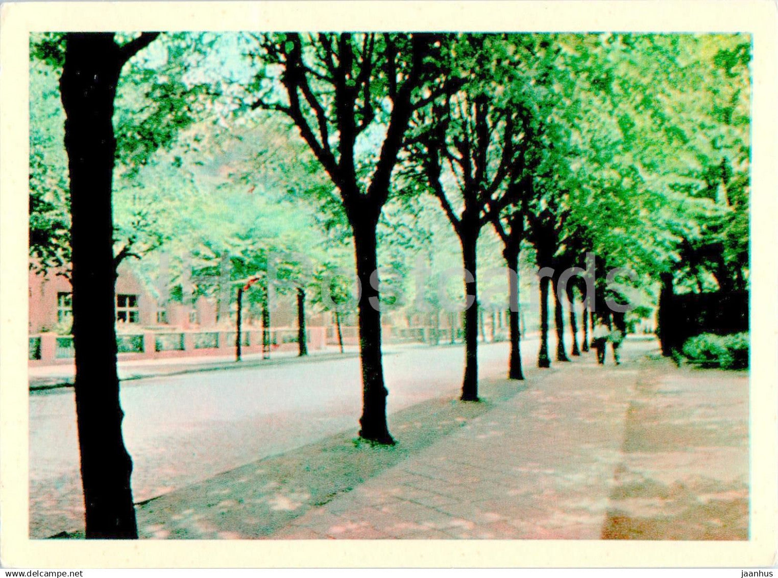 Klaipeda - Salomeja Neris street - 1968 - Lithuania USSR - unused - JH Postcards