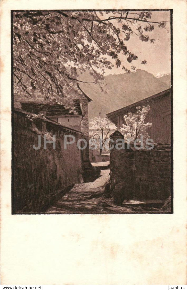 Heimat - village alley with blooming trees - Series - 2166 - old postcard - 1918 - Switzerland - used - JH Postcards