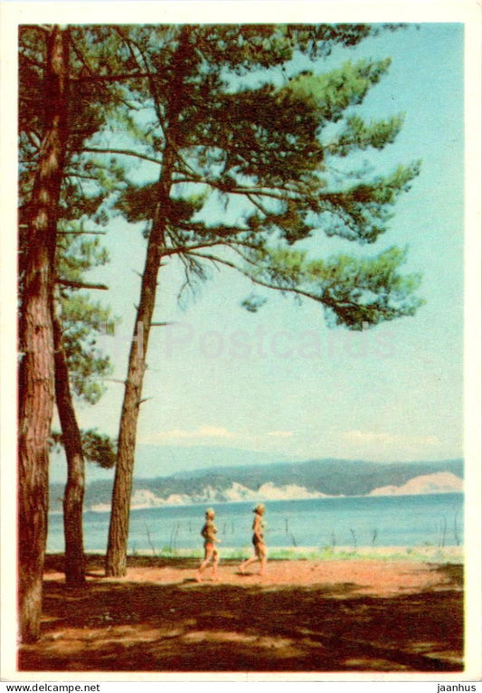 Caucasus - Pitsunda Cape - Abkhazia - 1958 - Georgia USSR - unused - JH Postcards